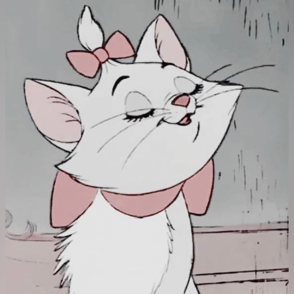 Meet your Posher, Kitten - Picture 1 of 1